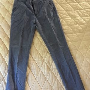 Banana Republic Blue Kentfield Plant 30x32